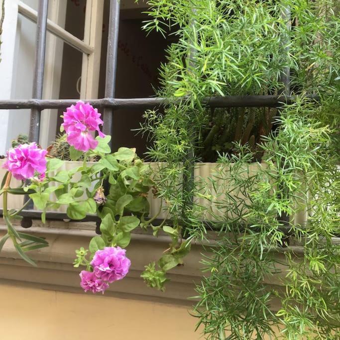 Apartamento Guia In Sant'ambrogio